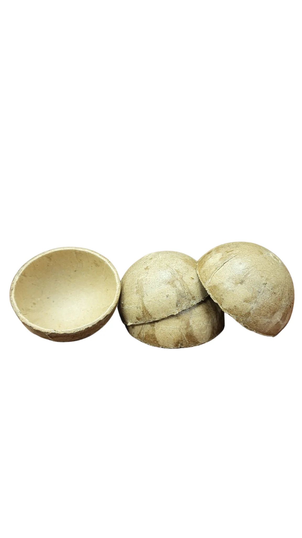 LIMITED Japanese 2 Inch Paper Shells - 20 sets